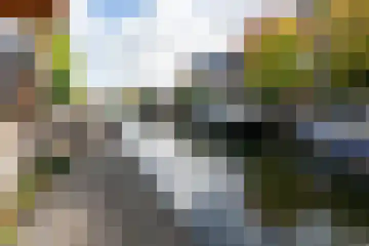 Weide Heijning 8 Broek op Langedijk thumbnail 64