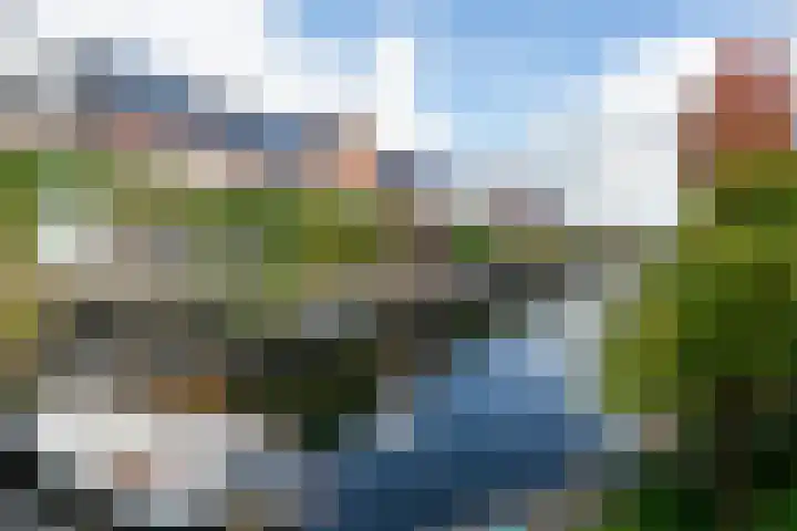 Weide Heijning 8 Broek op Langedijk thumbnail 65
