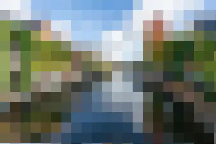 Weide Heijning 8 Broek op Langedijk thumbnail 66