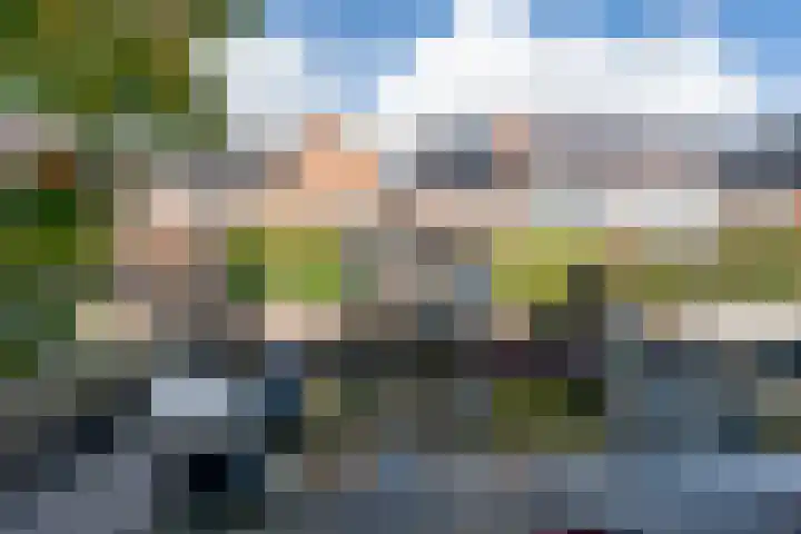 Weide Heijning 8 Broek op Langedijk thumbnail 67