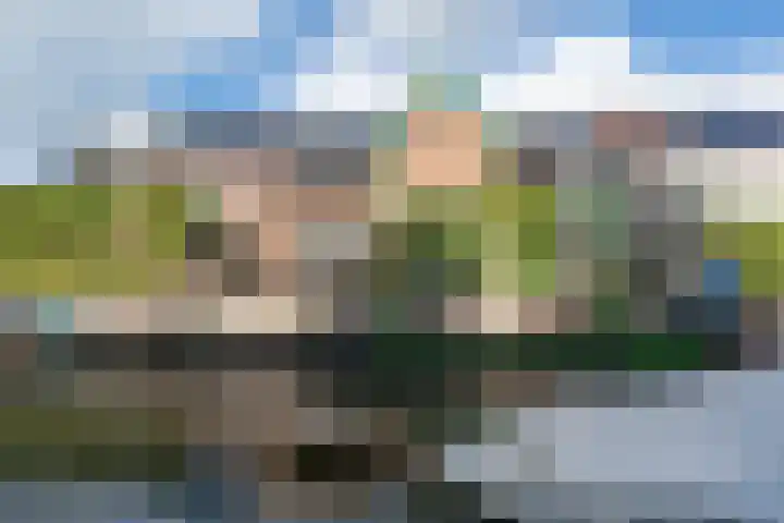 Weide Heijning 8 Broek op Langedijk thumbnail 68