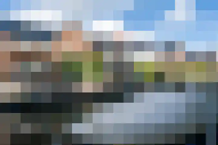 Weide Heijning 8 Broek op Langedijk thumbnail 69