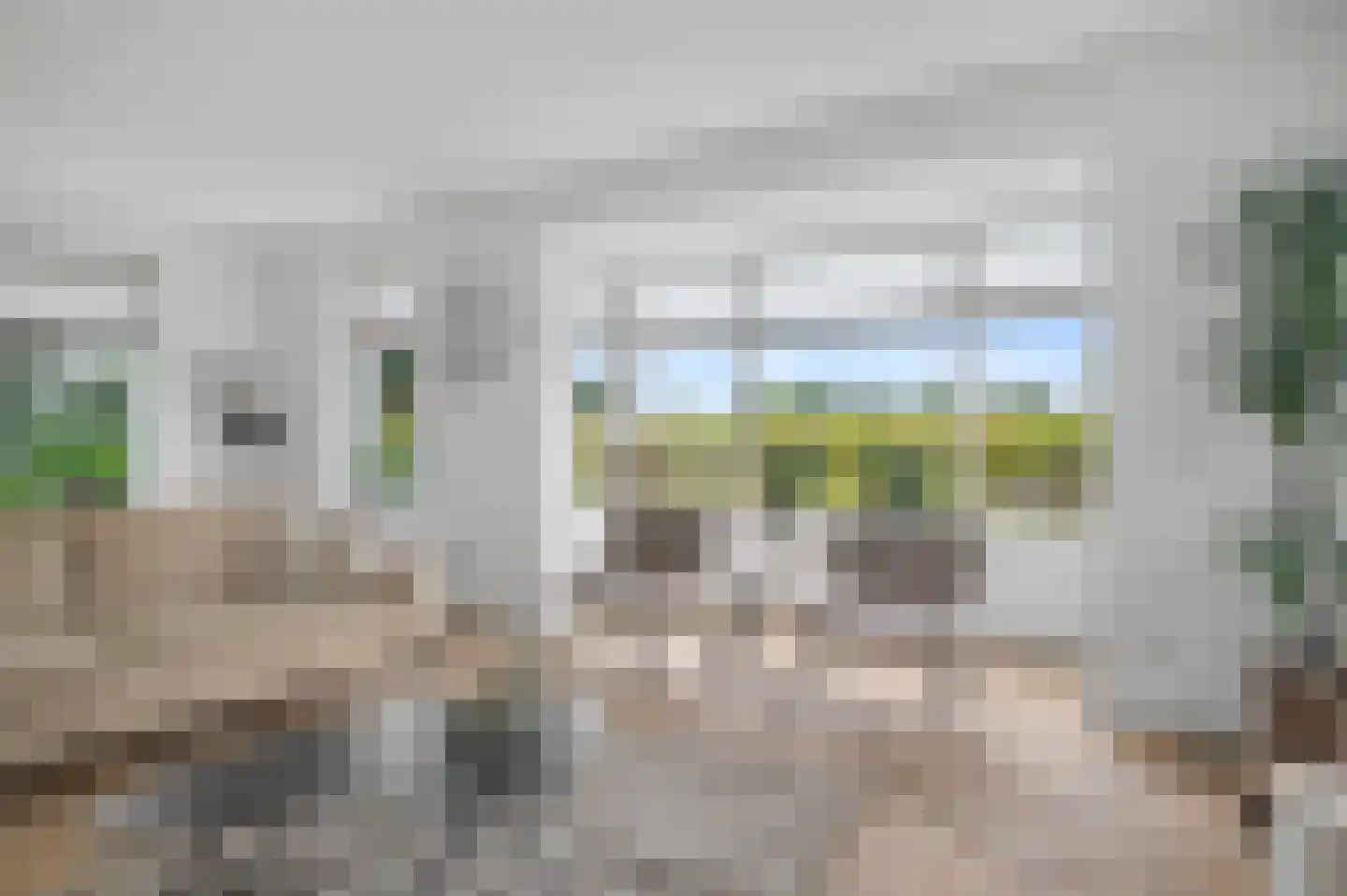 Weidebeek 7 Wesepe thumbnail 6