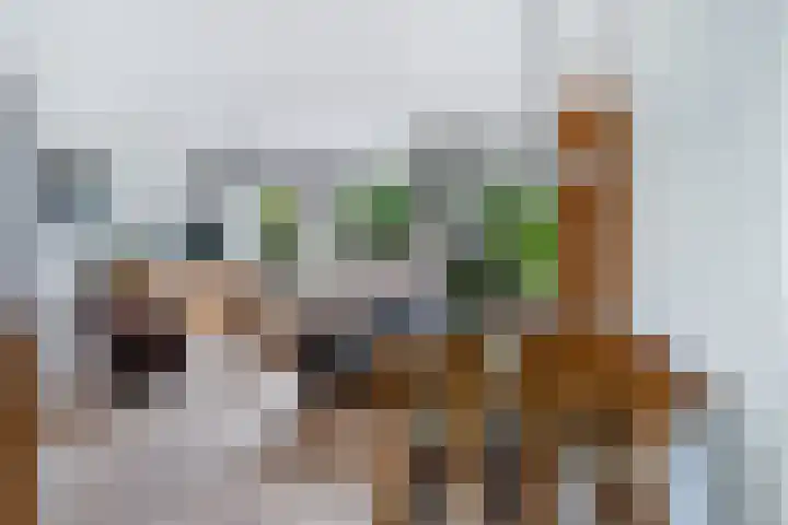 Weidebloemenlaan 101 Woerden thumbnail 15