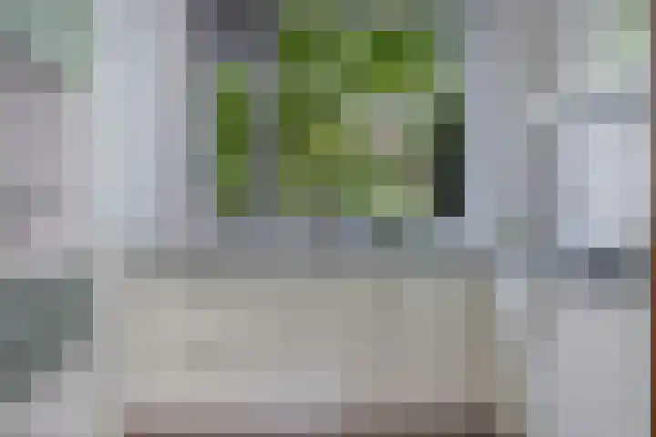 Weidebloemenlaan 101 Woerden thumbnail 17