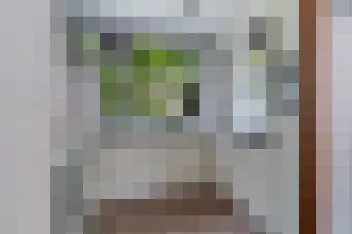 Weidebloemenlaan 101 Woerden thumbnail 19