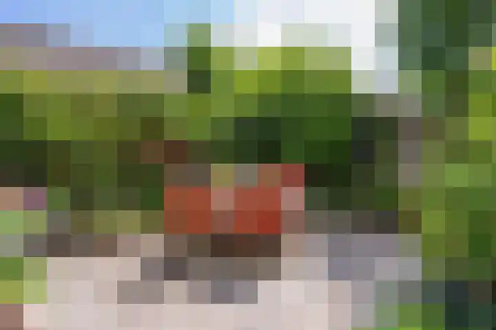 Weidebloemenlaan 101 Woerden thumbnail 20