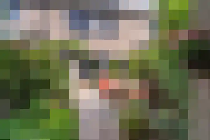 Weidebloemenlaan 101 Woerden thumbnail 21