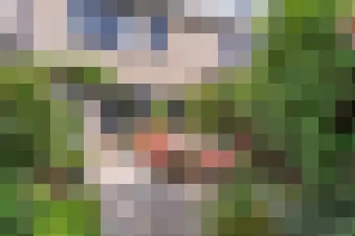 Weidebloemenlaan 101 Woerden thumbnail 22