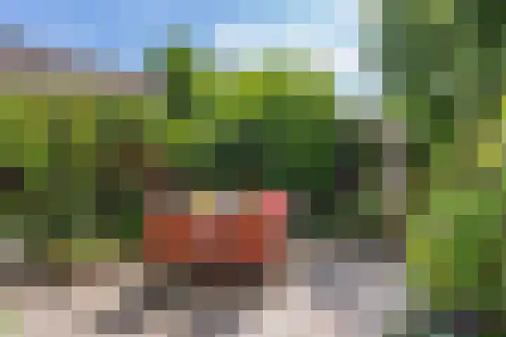 Weidebloemenlaan 101 Woerden thumbnail 23