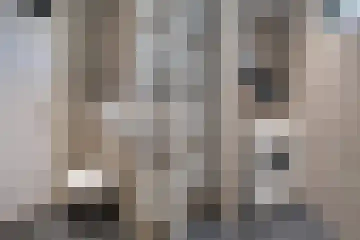 Weidebloemenlaan 101 Woerden thumbnail 38