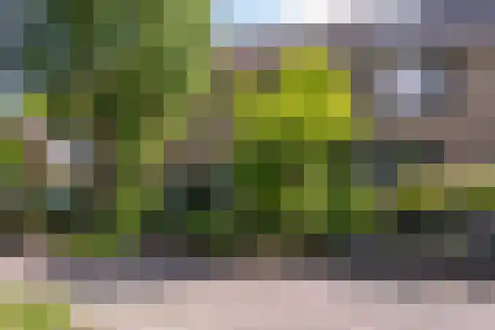 Weidebloemenlaan 101 Woerden thumbnail 4