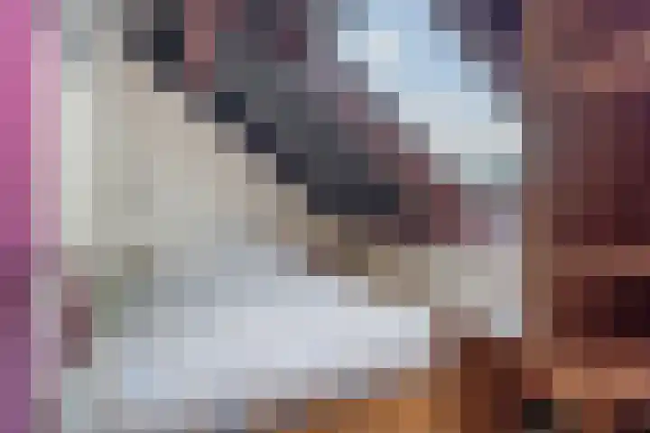Weidebloemenlaan 101 Woerden thumbnail 42