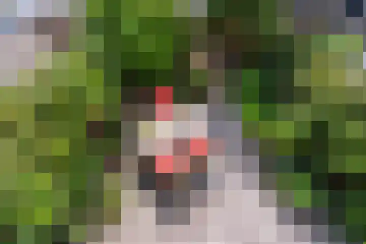 Weidebloemenlaan 101 Woerden thumbnail 44