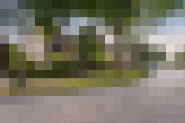 Weidebloemenlaan 101 Woerden thumbnail 45