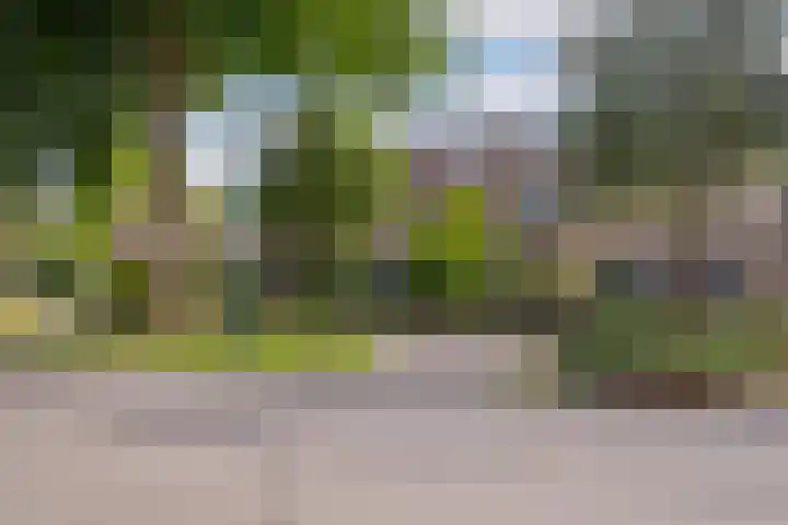 Weidebloemenlaan 101 Woerden thumbnail 47
