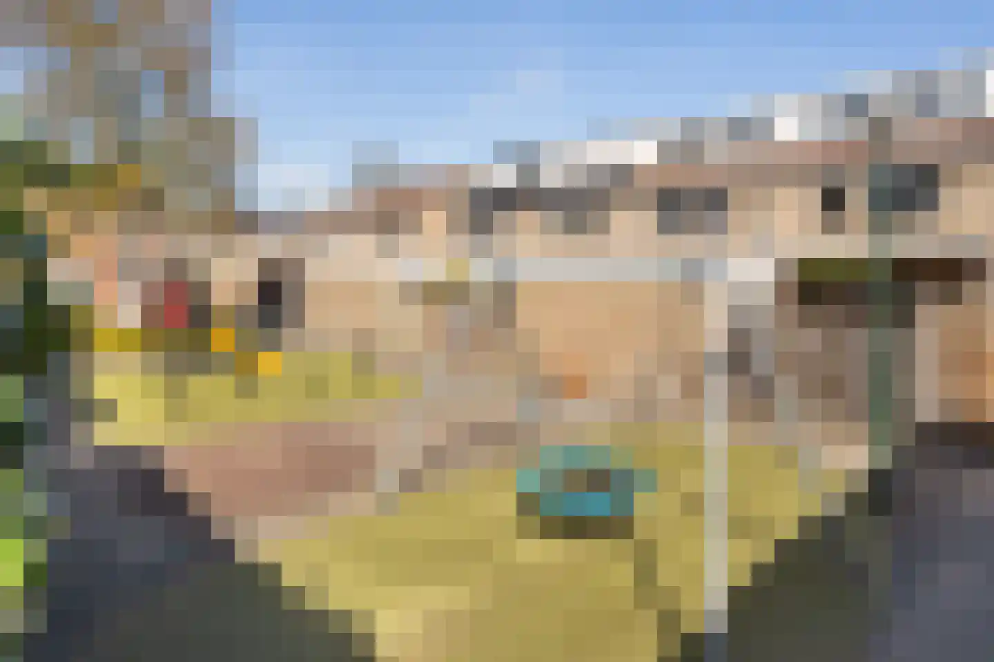 Weidebloemenlaan 113 Woerden thumbnail 31