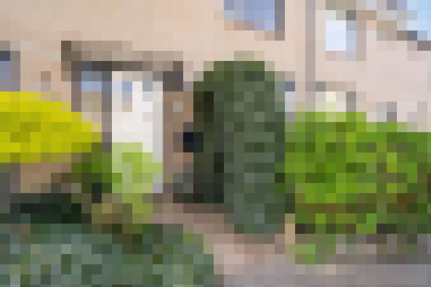 Weidebloemenlaan 113 Woerden thumbnail 4
