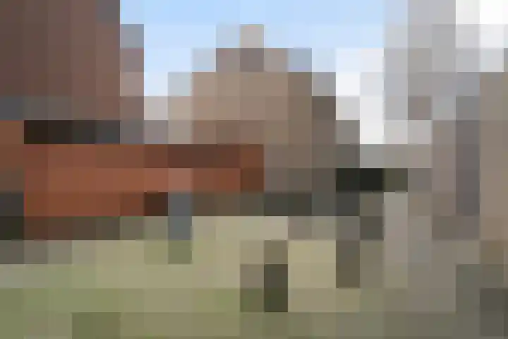 Weidebloemenlaan 151 Woerden thumbnail 32