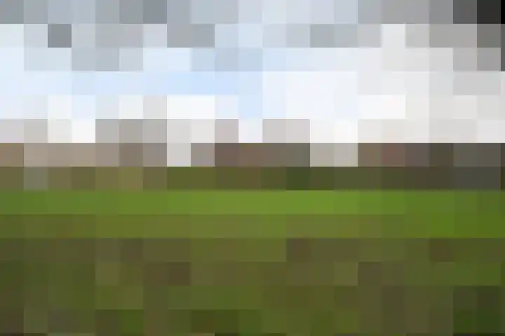 Weidebloemenlaan 151 Woerden thumbnail 35
