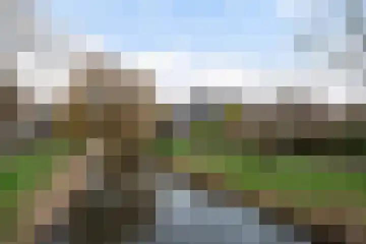 Weidebloemenlaan 151 Woerden thumbnail 36