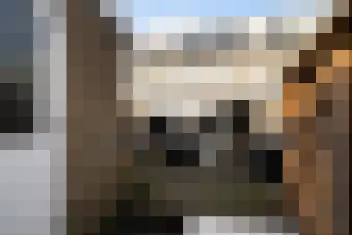 Weidebloemenlaan 151 Woerden thumbnail 6