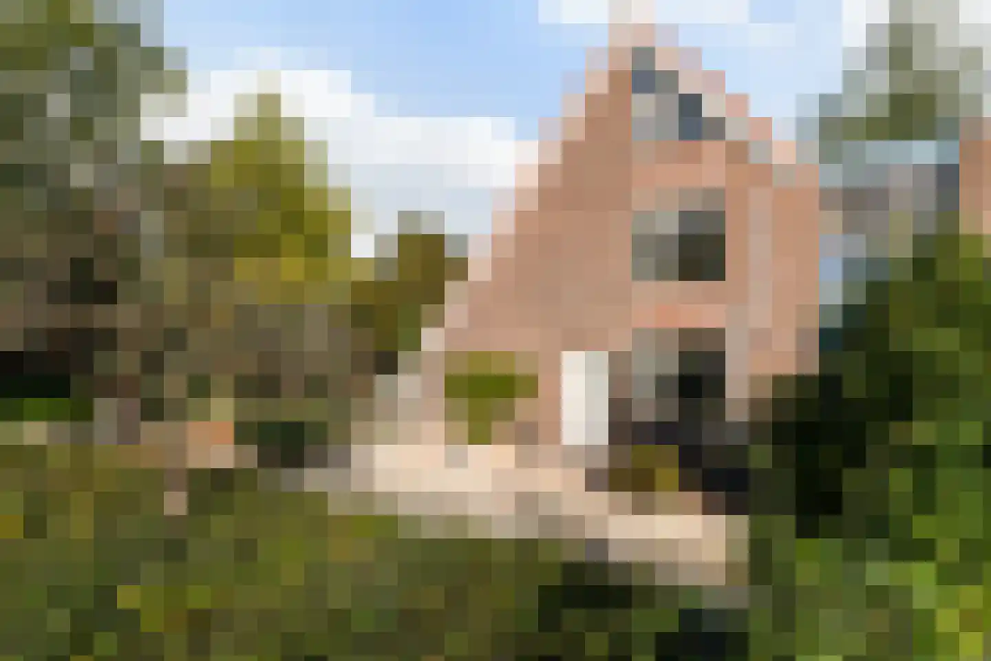 Weidebloemenlaan 204 Woerden