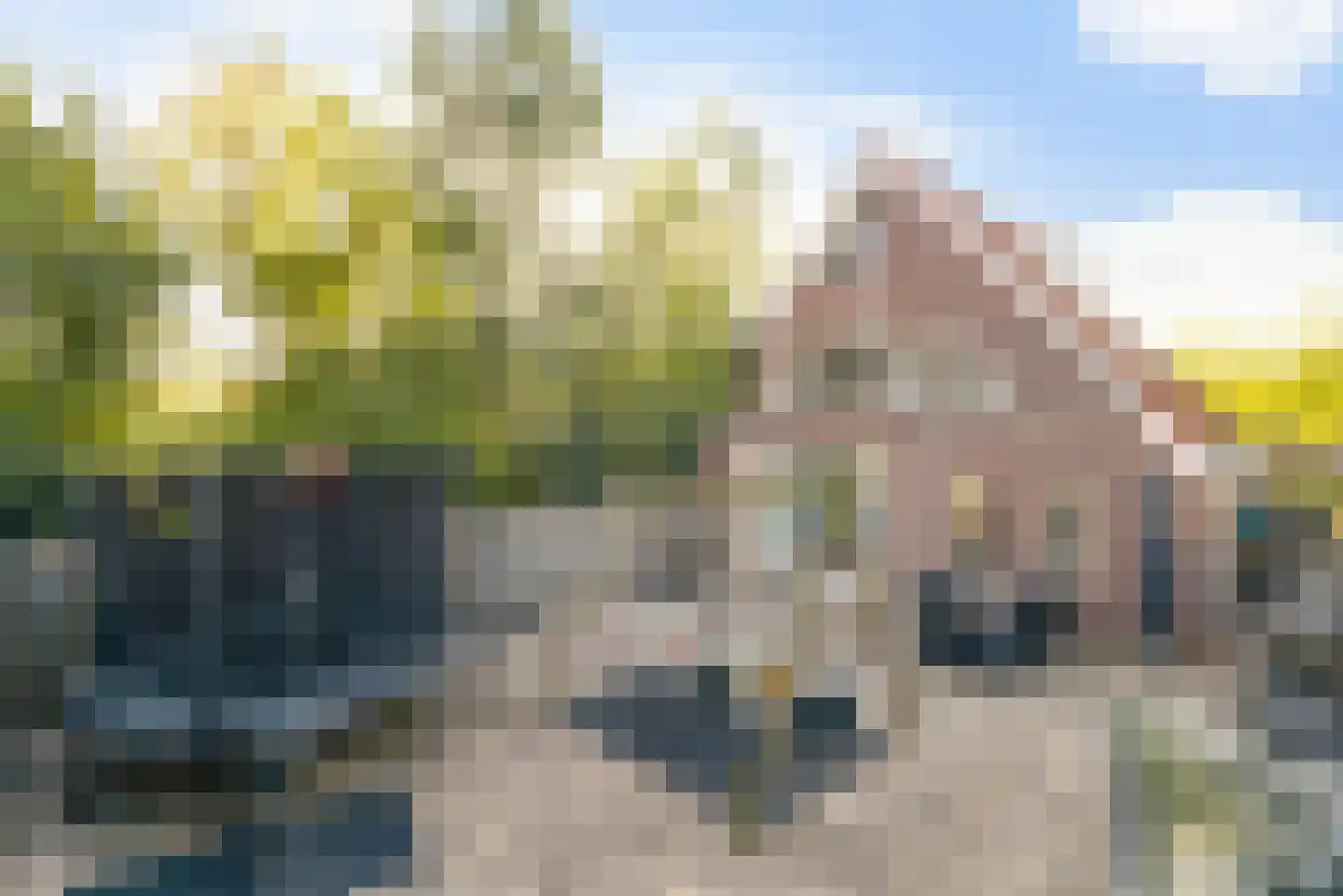 Weidebloemenlaan 204 Woerden foto 3