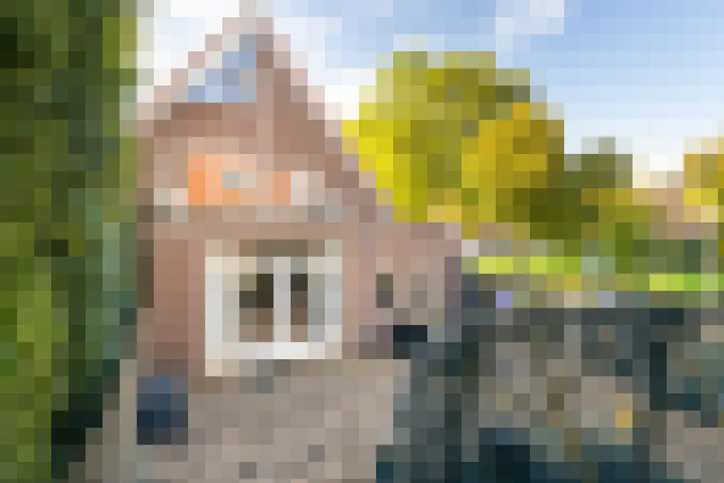 Weidebloemenlaan 204 Woerden thumbnail 40