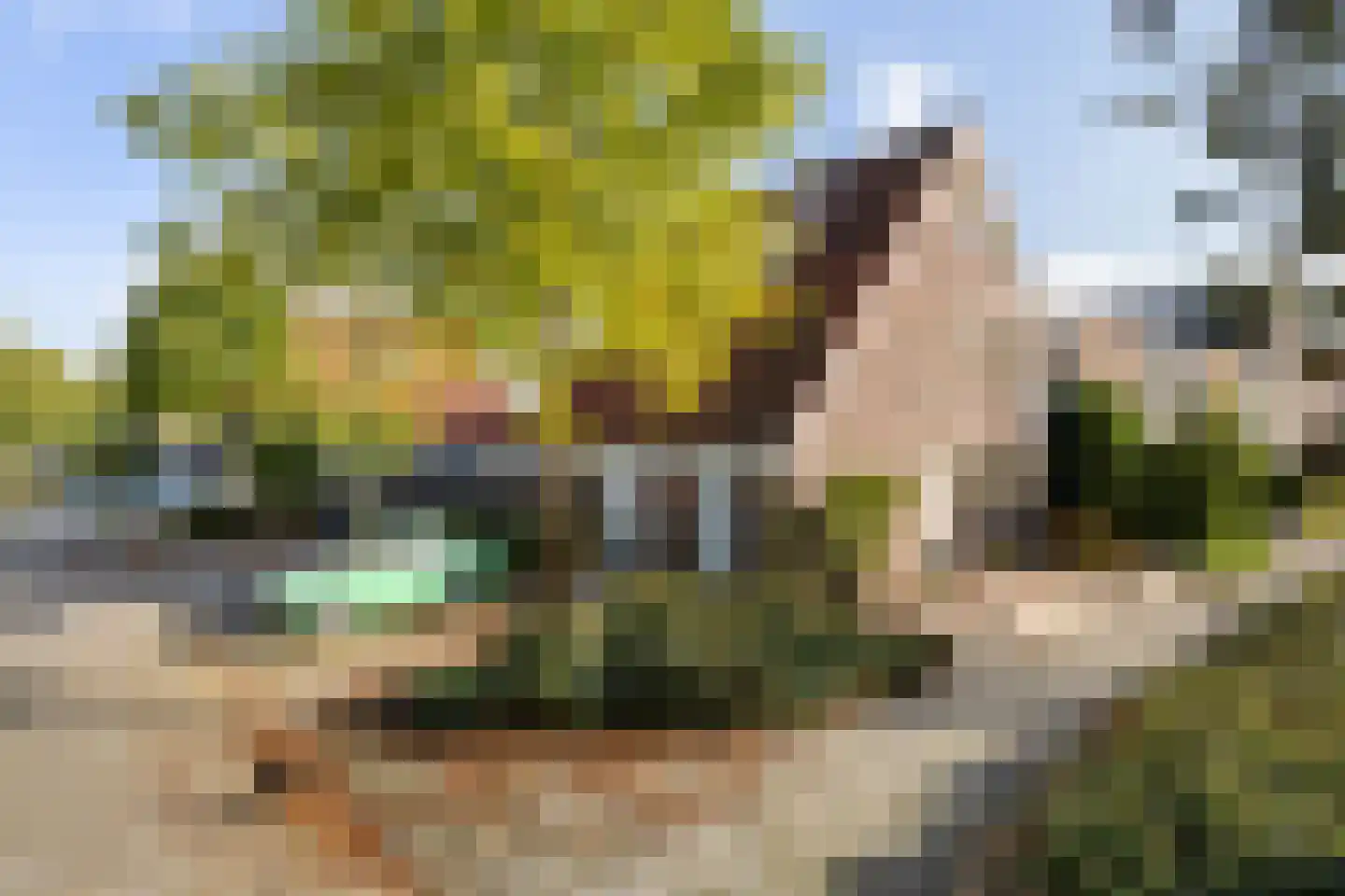 Weidebloemenlaan 204 Woerden thumbnail 42