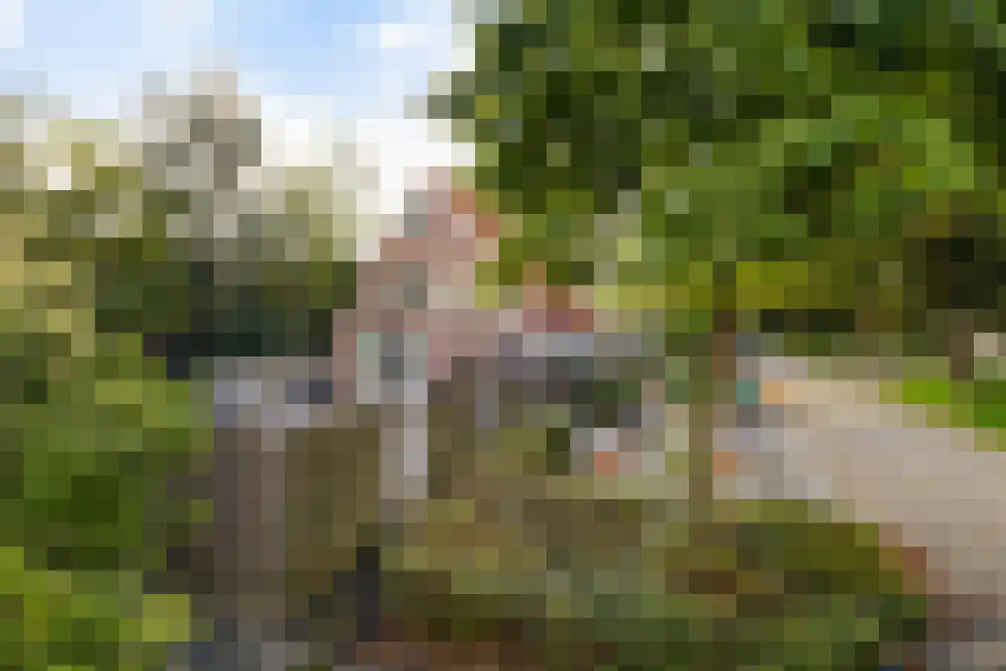 Weidebloemenlaan 204 Woerden thumbnail 44