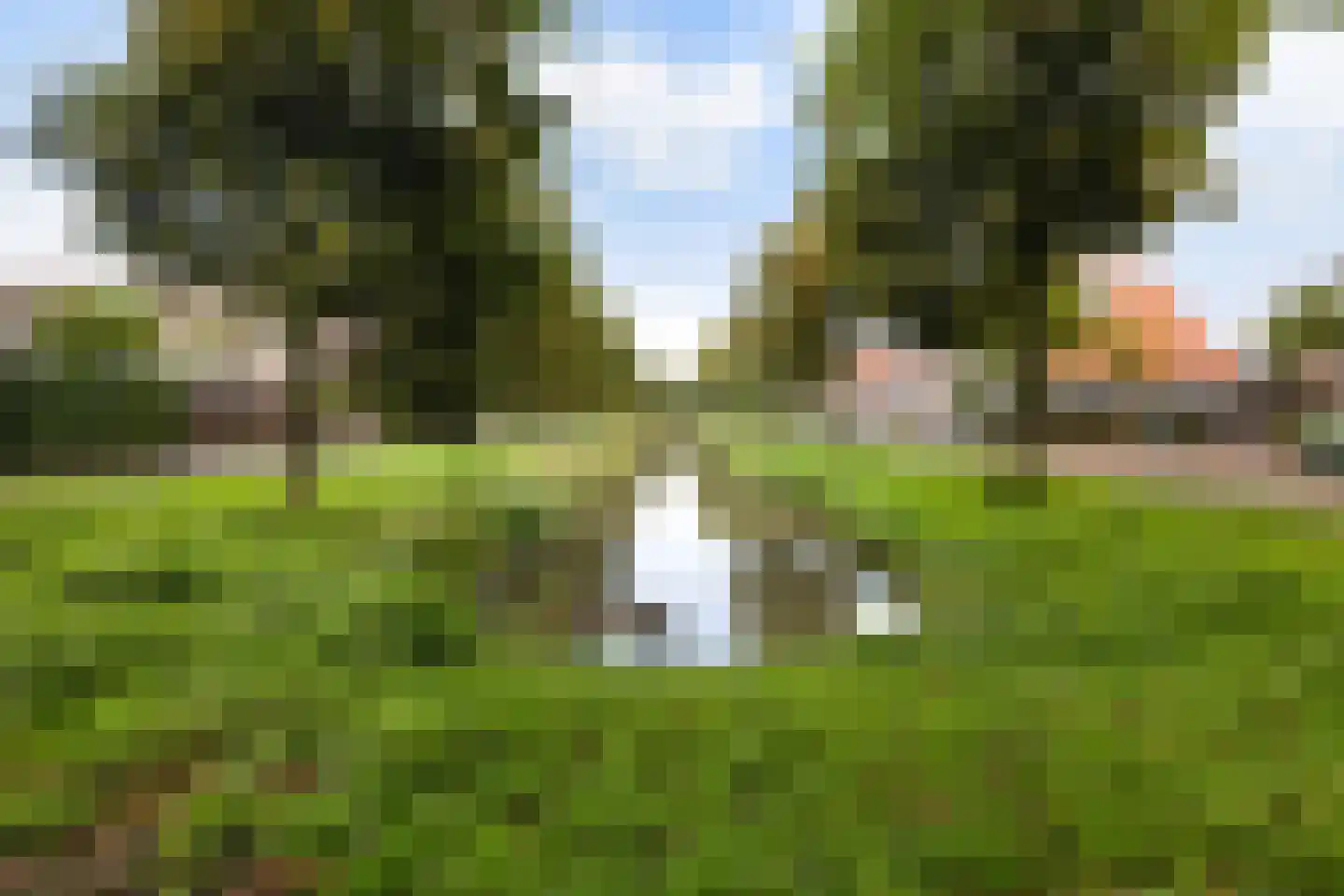 Weidebloemenlaan 204 Woerden thumbnail 46
