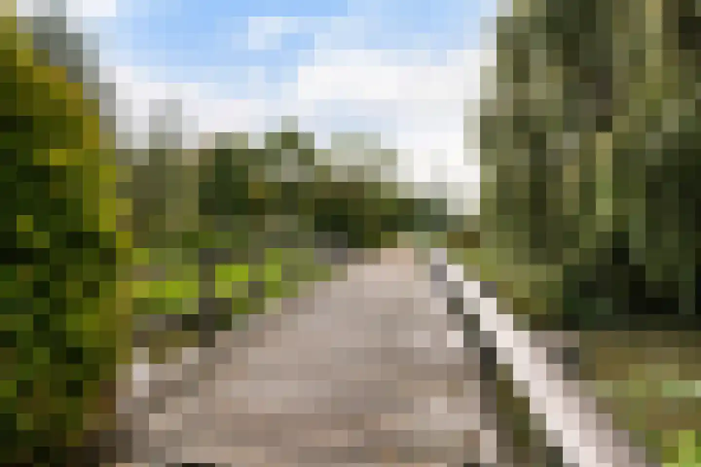 Weidebloemenlaan 204 Woerden thumbnail 48