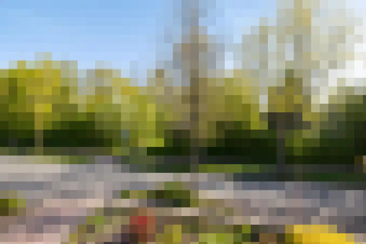Weidebloemenweg 13 Roden thumbnail 29