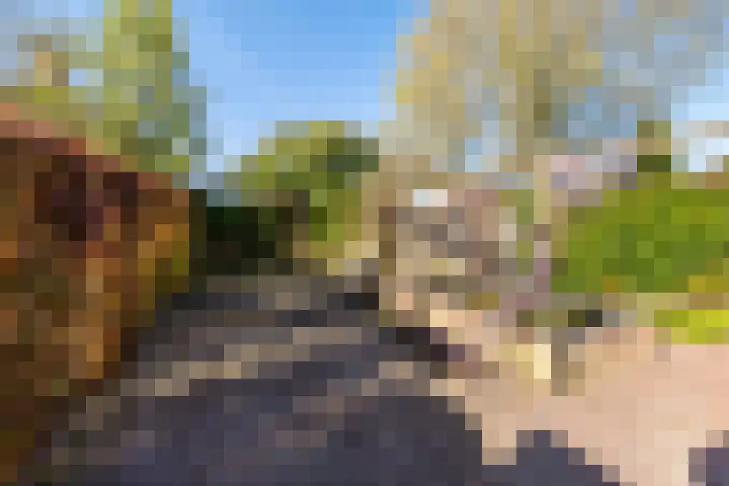 Weidebloemenweg 13 Roden thumbnail 41