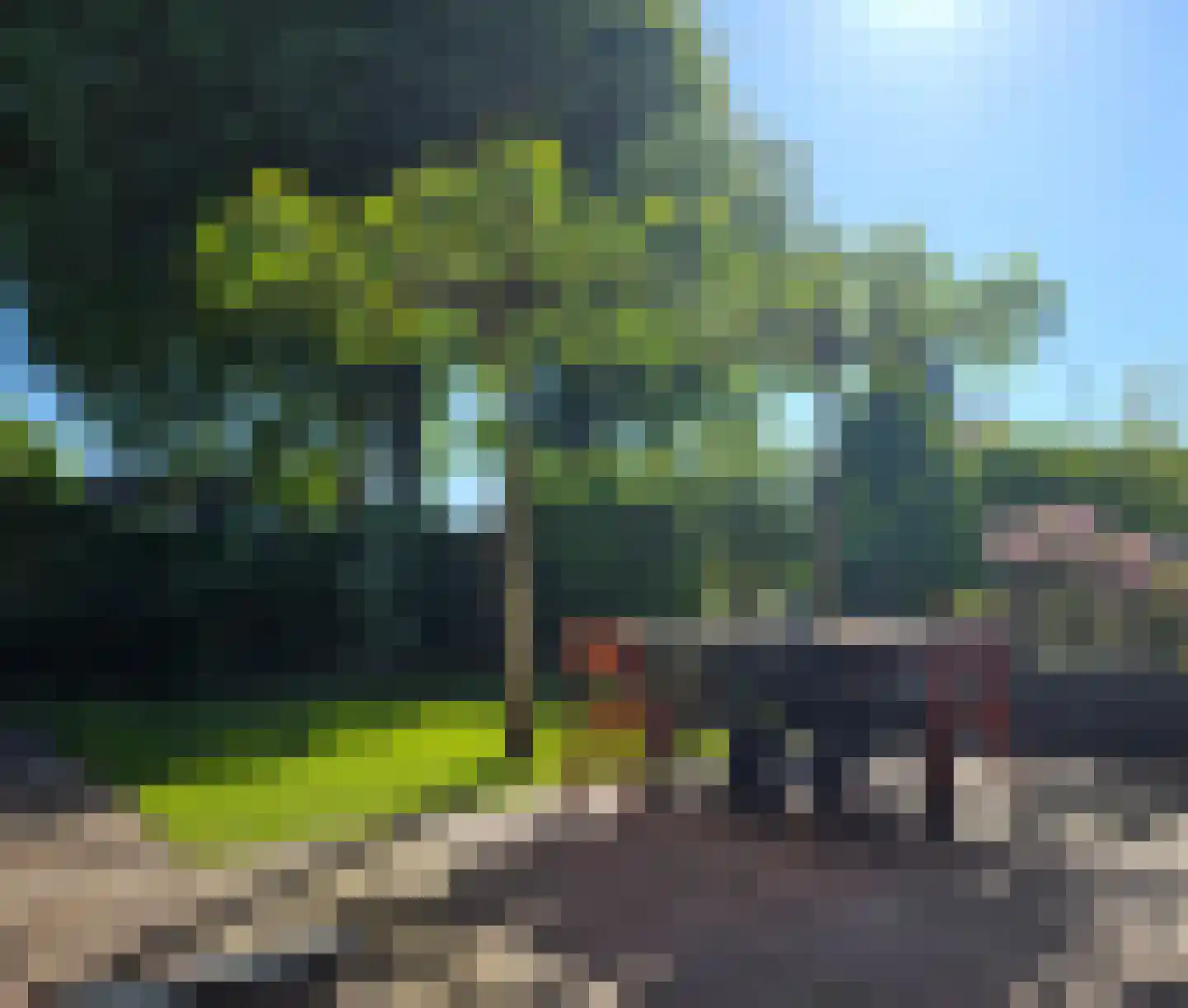 Weidebloemenweg 13 Roden thumbnail 46