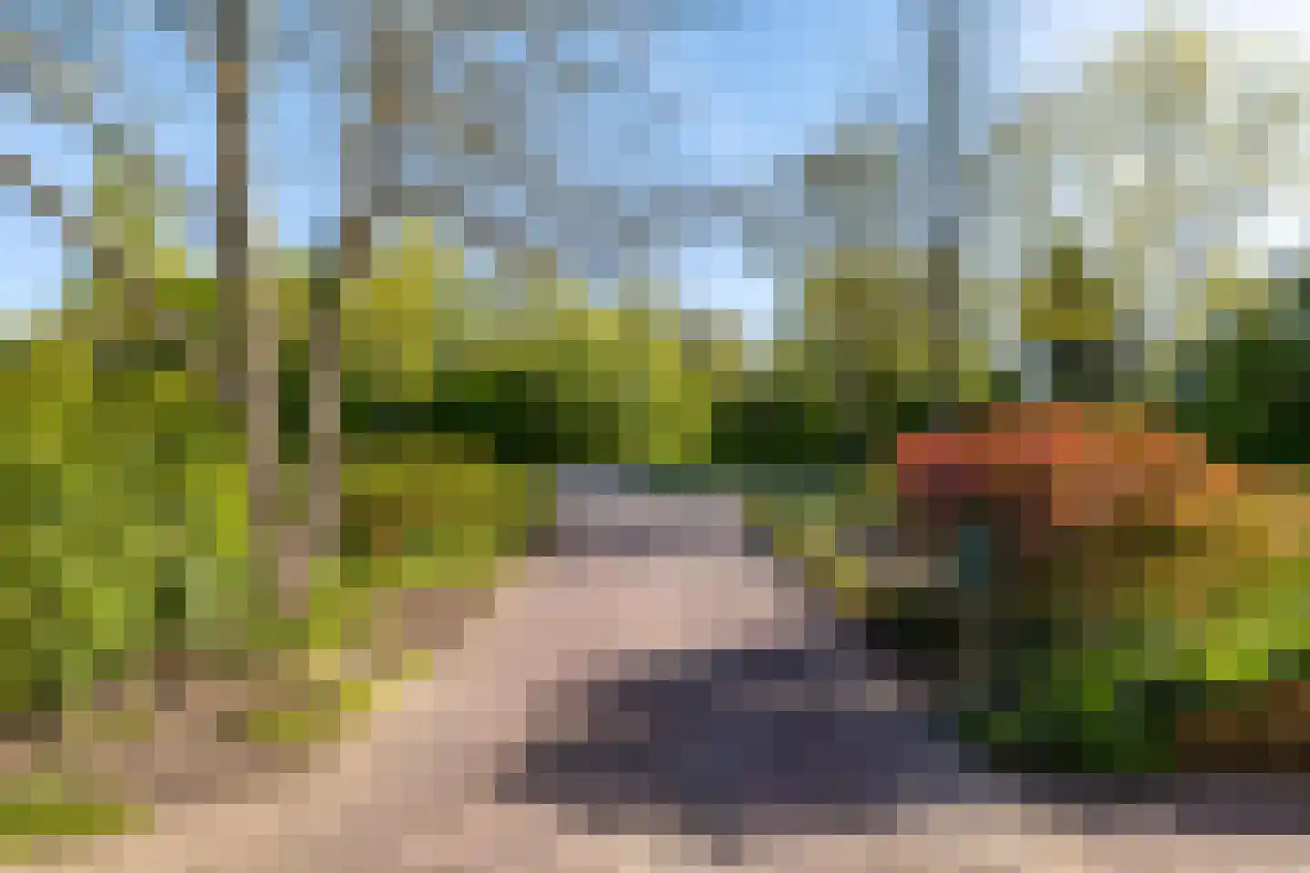Weidebloemenweg 13 Roden thumbnail 48