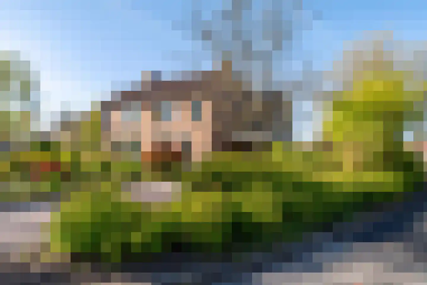 Weidebloemenweg 13 Roden thumbnail 49