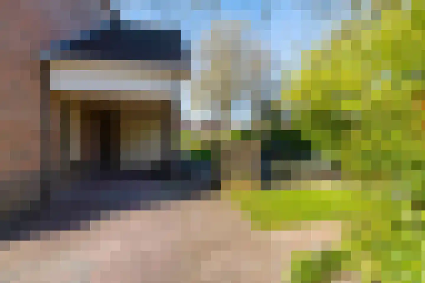 Weidebloemenweg 13 Roden thumbnail 6