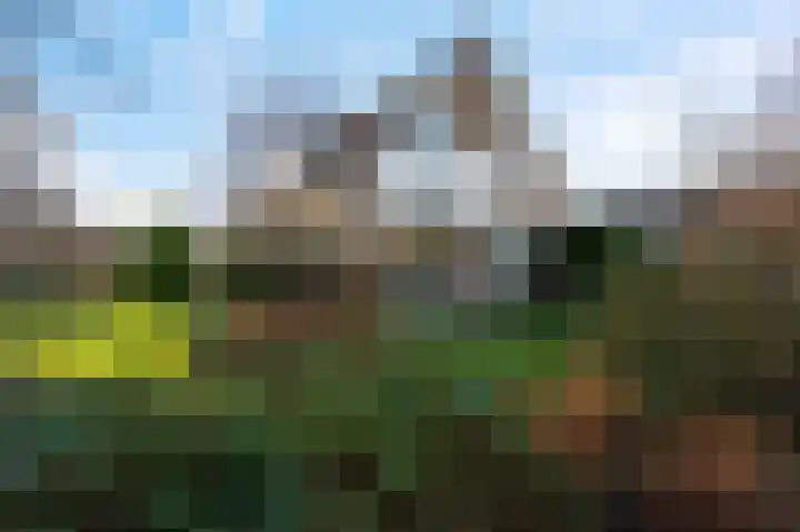 Weidebloemenweg 83 Roden thumbnail 10
