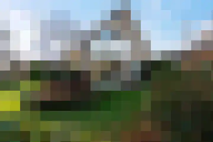 Weidebloemenweg 83 Roden thumbnail 11