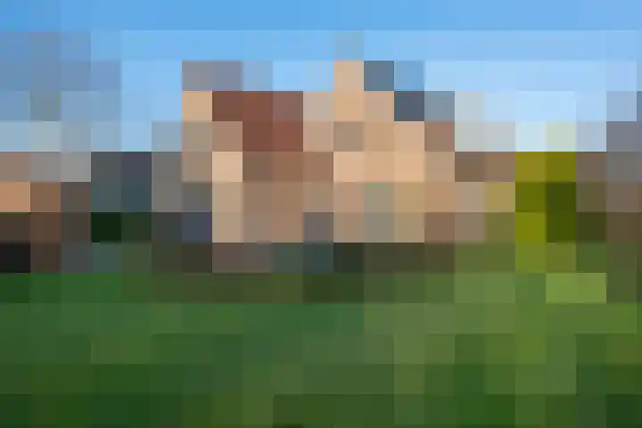 Weidebloemenweg 83 Roden thumbnail 15