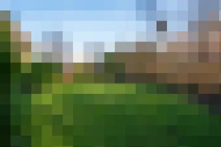 Weidebloemenweg 83 Roden thumbnail 18