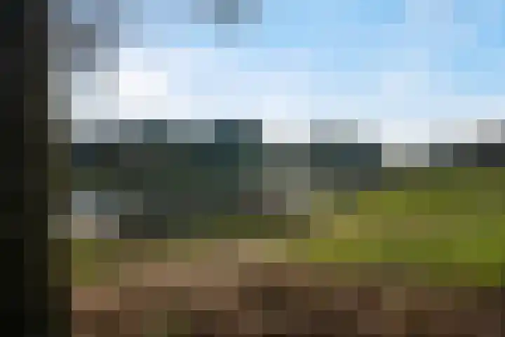 Weidebloemenweg 83 Roden thumbnail 5