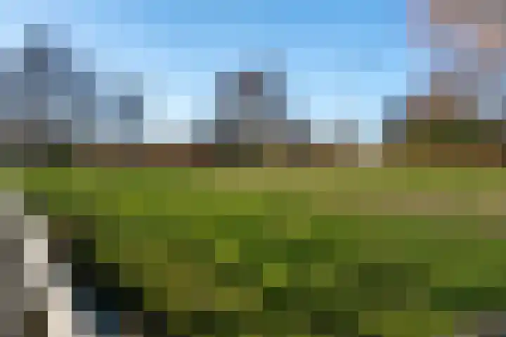 Weidebloemenweg 83 Roden thumbnail 7
