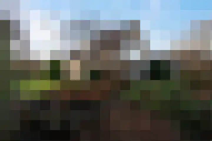 Weidebloemenweg 83 Roden thumbnail 9