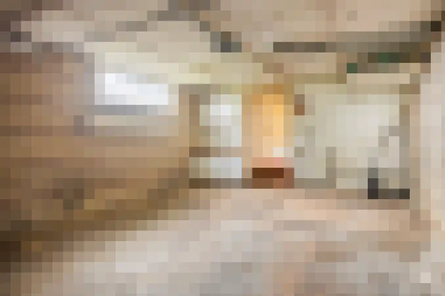 Weidebloemstraat 14 Berkenwoude thumbnail 27