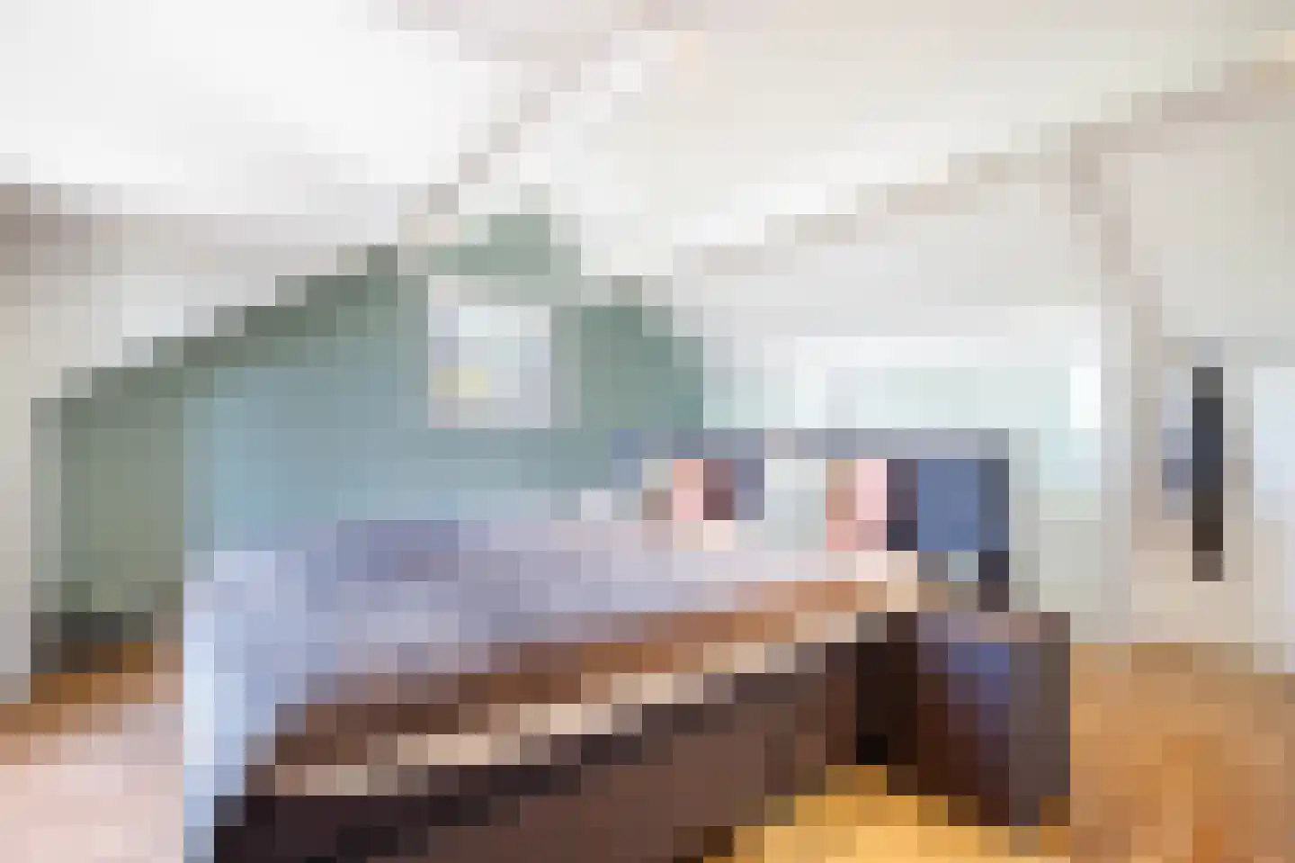 Weidebloemstraat 17 Berkenwoude thumbnail 38
