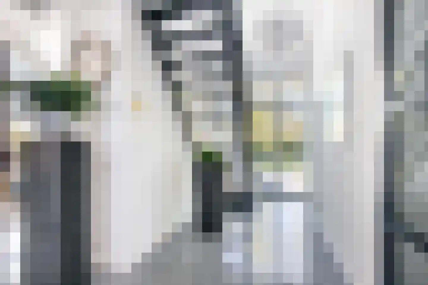Weidebloemstraat 17 Berkenwoude thumbnail 9