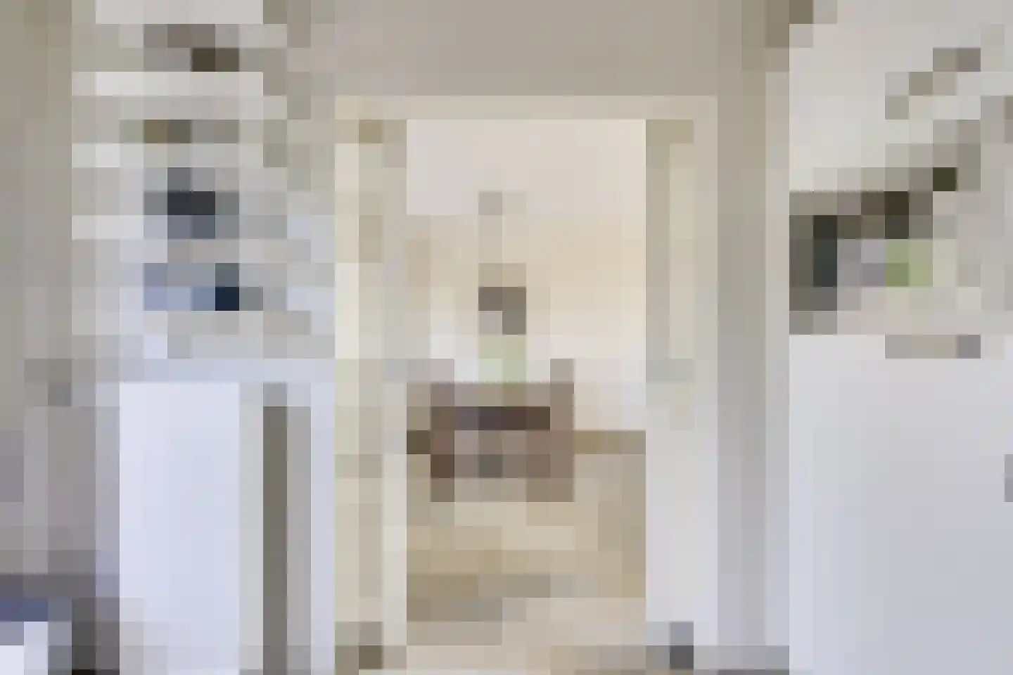 Weidedreef 1 Langbroek thumbnail 12